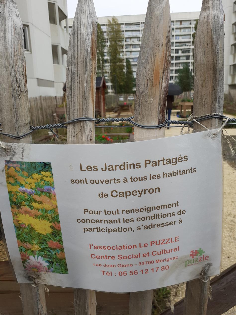 Les jardins partagés de Capeyon à Mérignac
