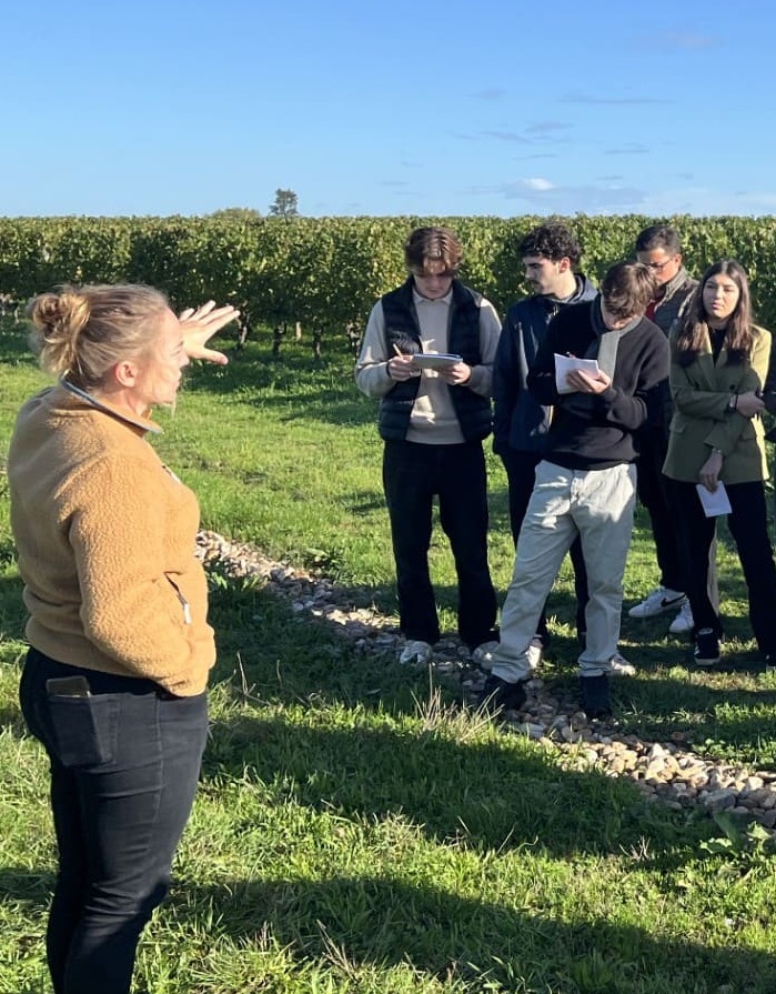 Visite des vignes du château l'évangile